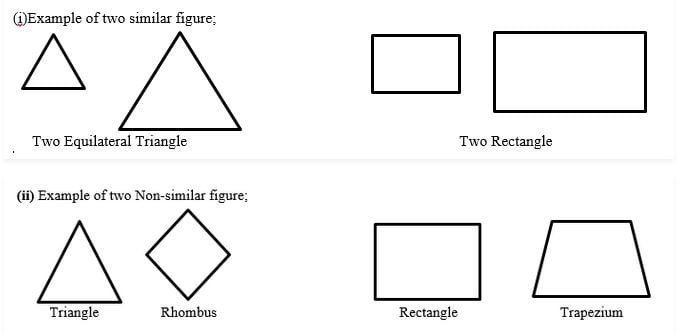 Class 10 Maths 6.1 NCERT Solutions