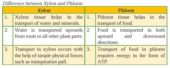 NCERT Solutions Class 10 Science Chapter 5 (Life Processes)