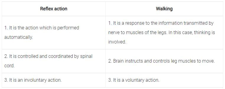 NCERT Solutions Class 10 Science Chapter 6 Control and Coordination