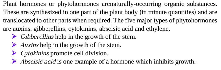 NCERT Solutions Class 10 Science Chapter 6 Control and Coordination