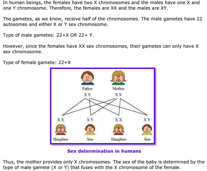 NCERT Solutions Class 10 Science Chapter 8 Heredity