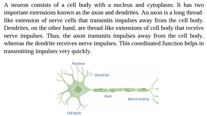 Class 9 Tissues NCERT Solutions